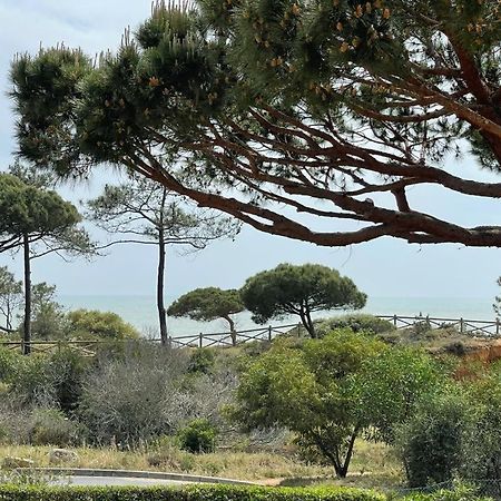 Praia Da Falesia Alfa Mar Albufeira Olhos de Agua  Exteriör bild